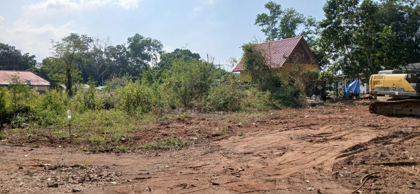 ขายที่ดินเปล่าโฉนด 1 งาน 14 ตร.ว. อยู่ในชุมชน ต.นาชะอัง อ.เมืองชุมพร ห่างศาลากลางจังหวัดเพียง 3 กม. ที่เนินปลอดภัยจากน้ำท่วม เจ้าของเองครับ 7