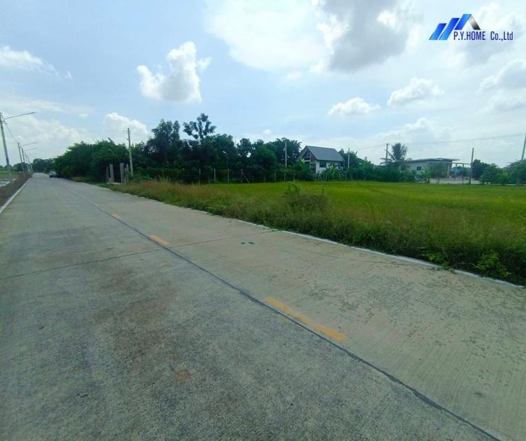 ขายที่ดินทำเลทอง บางหลวงใกล้ถนนราชพฤกษ์–346 ตัดใหม่ 5