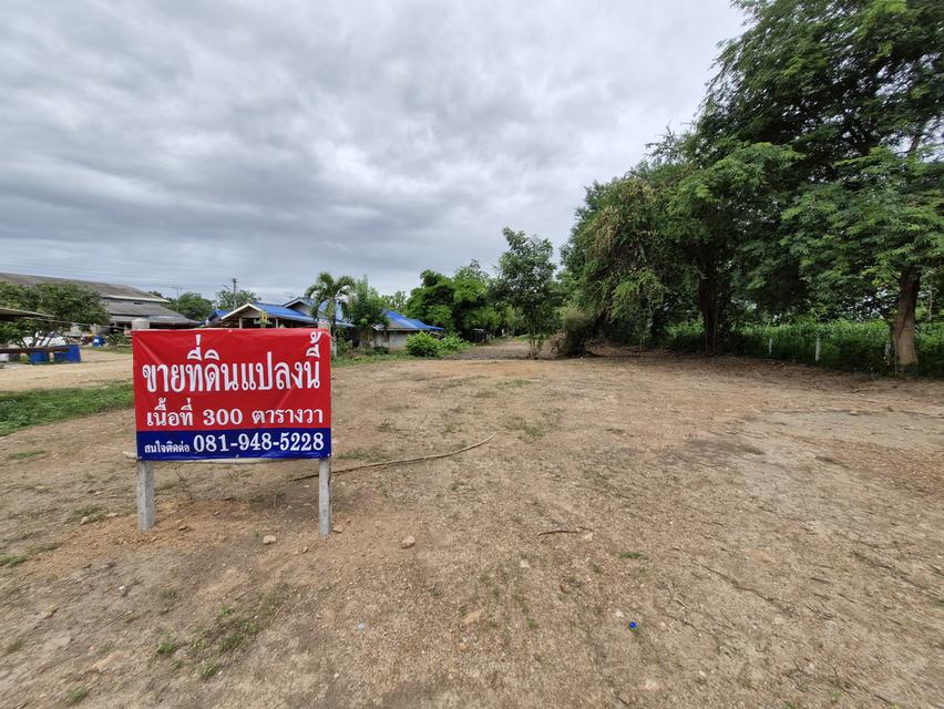 ขายที่ดิน300ตรว.ติดถนนทางหลวง3349ใกล้ รพ.หนองหญ้าปล้อง เพชรบุรี 2