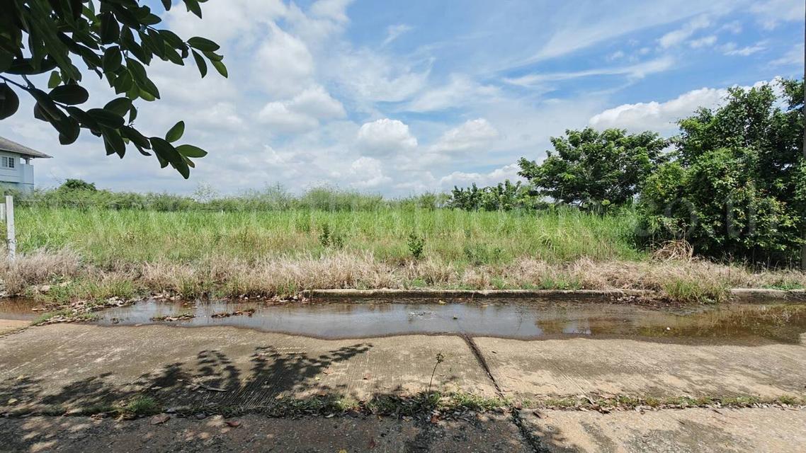 ที่ดิน 316 ตร.วา ถมแล้ว หมู่บ้านกฤษดานคร 19 - คลองหลวง 1  11