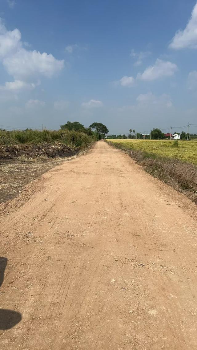 ขายที่ดินตำบลคูขวาง อำเภอลาดหลุมแก้ว ปทุมธานี   เนื้อที่ 4 ไร่ สามารถทำโรงงาน 3