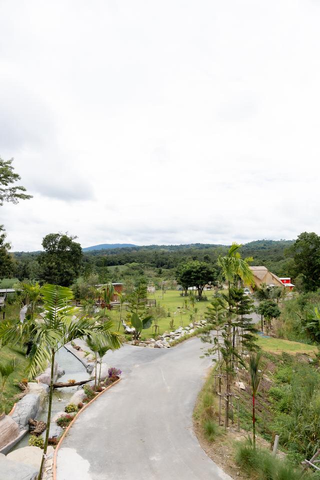 ขายรีสอร์ท ที่ วังน้ำเขียว  14ไร่  บนถนน 3060 เส้นไปปากช่อง ระเริง 27 ล้าน บาท 10