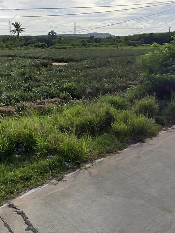 ให้เช่าที่ดินศรีราชาชลบุรี ให้เช่าที่ดิน 10 ไร่ สีม่วงลาย ห่างจากท่าเรือแหลมฉบัง 37 กม. 3