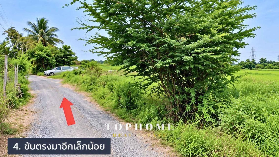 ขายด่วน! ที่ดินเปล่า ซอยแบนชะโด 2 ✨ที่ดินถมแล้ว 📍เขตคลองสามวา กรุงเทพมหานคร 5