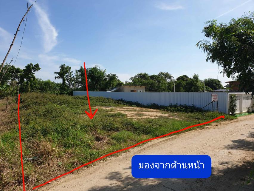 ขายด่วน!ที่ดิน อำเภอเมืองนครปฐม  1