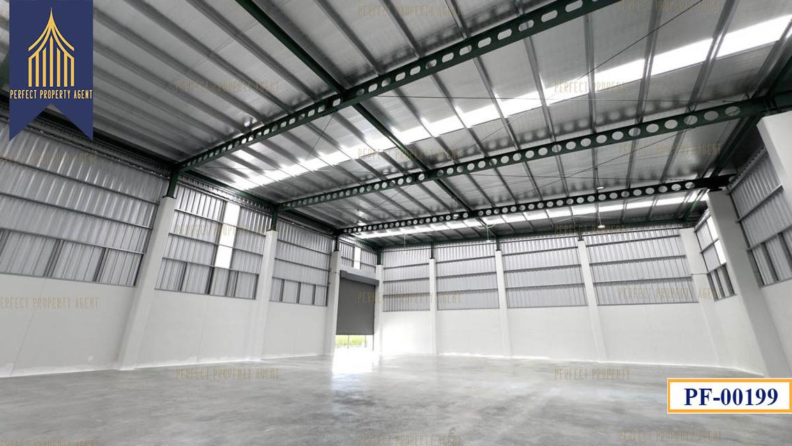 New Factory for sale สีม่วงเข้ม หลายขนาด ลำลูกกา ปทุมธานี 6