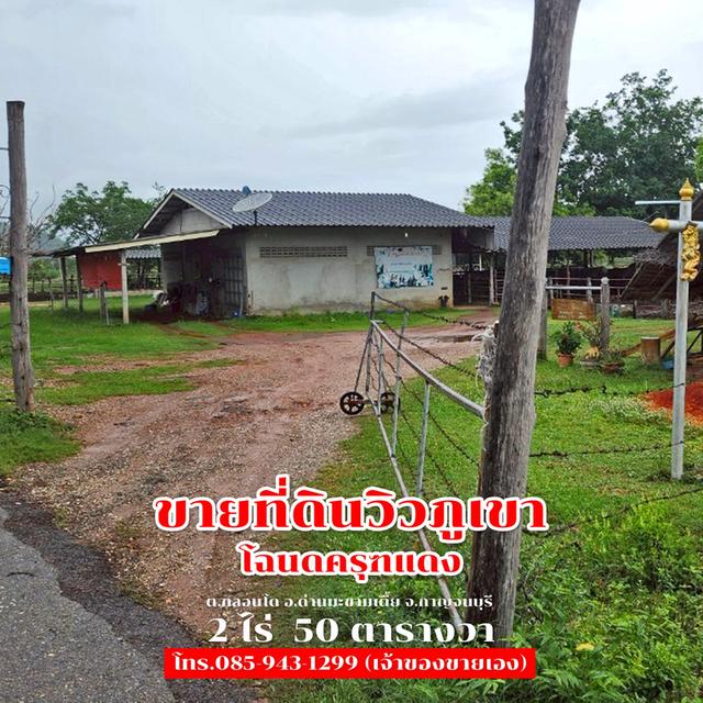 ขายที่ดิน 2 ไร่ 50 ตารางวา ติดถนนลาดยาง วิวภูเขา จ.กาญจนบุรี 1,500,000 3