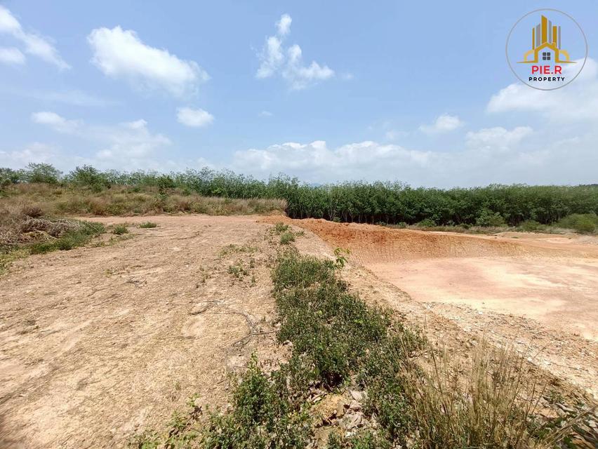 ลงทุนเพื่ออนาคต! ที่ดิน41-369ไร่ อ.เมืองระยอง l ใกล้ถ.สุขุมวิท(เดินทางเชื่อมต่อไปตัวเมืองระยองสะดวก) 10