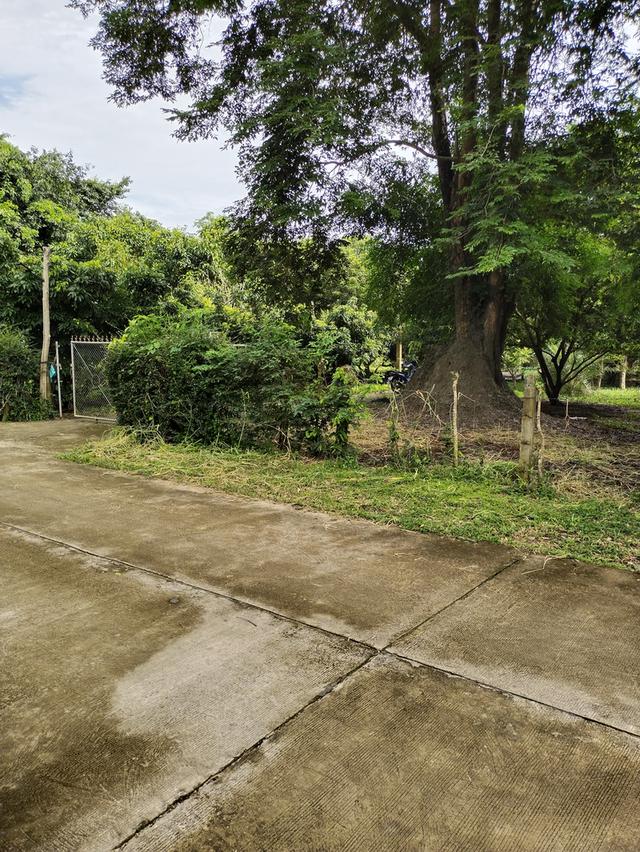 ที่โฉนดครุฑแดง2ไร่ จังหวัดน่าน สำหรับสร้างบ้านหรือบ้านสวน