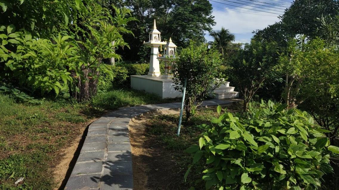🌳 [ขายด่วน/急售] ที่ดินทองคำ บ้านโป่ง ราชบุรี (550K/ไร่) ติดถนนลาดยาง 3 ด้าน | น้ำไม่ท่วม 100% | เหมาะทำเกษตร โรงงาน และ Wellness Center 6