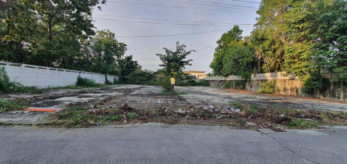 ขายที่ดิน 1 ไร่กรุงเทพกรีฑา, กรุงเทพ 12