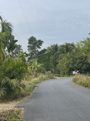 ที่ดิน ที่ดิน ใกล้ม.วลัยลักษณ์ จ.นครศรีธรรมราช 10309500 THAI BAHT ใกล้ ห่าง ม.วลัยลักษณ์ จ.นครศรีธรรมราช ประมาณ 1 กม. โค รูปที่ 2