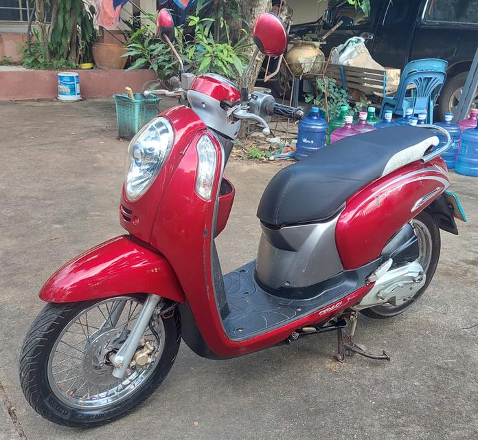scoopy i