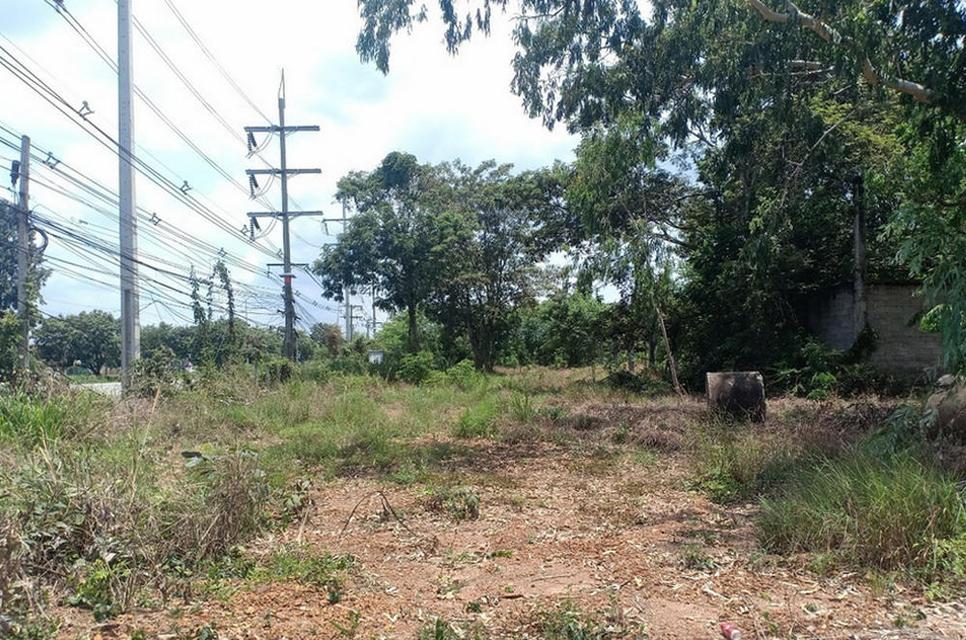 ที่ดินถมแล้ว ศรีมหาโพธิ ปราจีนบุรี 6 ไร่เศษ ใกล้นิคมโรจนะ ติดถนนทางหลวง 304 (ฉะเชิงเทรา-กบินทร์บุรี) 5