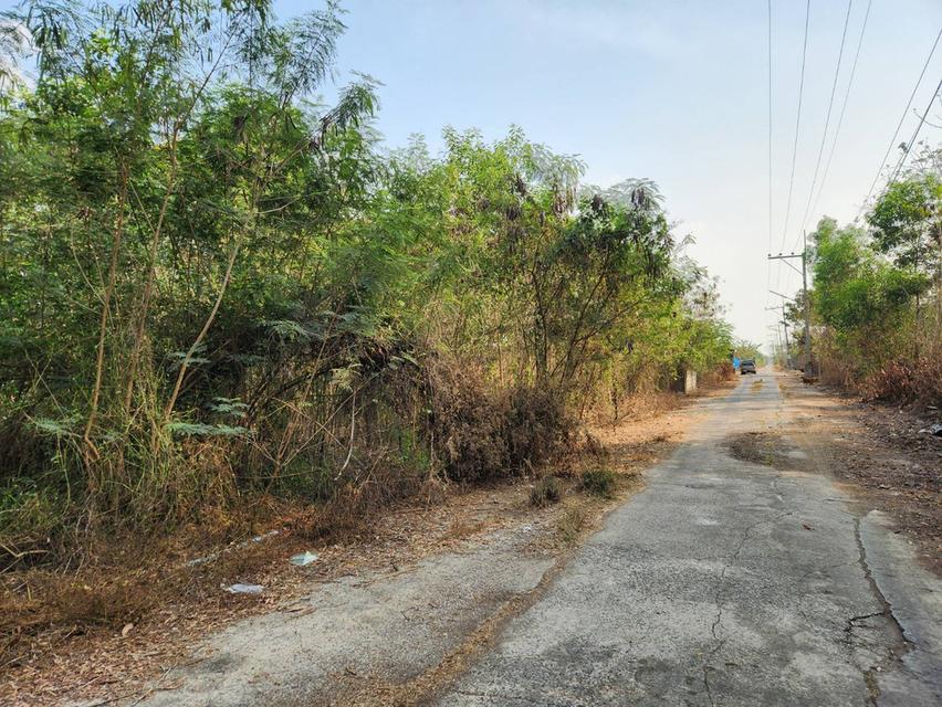 ขายที่ดินคลอง 10 หนองเสือ ราคาตํ่ากว่าราคาประเมิน เจ้าของขายเองครับ 5