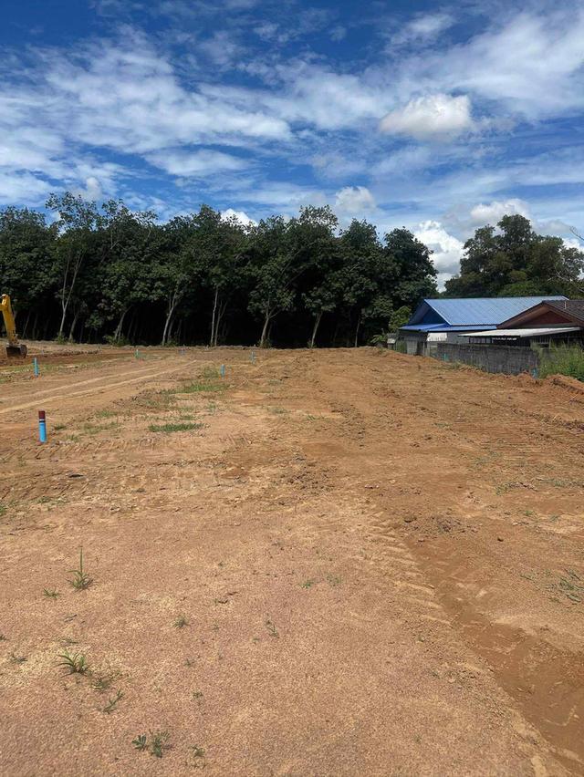 ขายที่ดินจัดสรรหนองละลอกเริ่มต้น 50 ตรว. ถมแล้วน้ำ-ไฟพร้อมใกล้นิคมปิ่นทอง6-1.8กม. อ.บ้านค่าย ระยอง 1