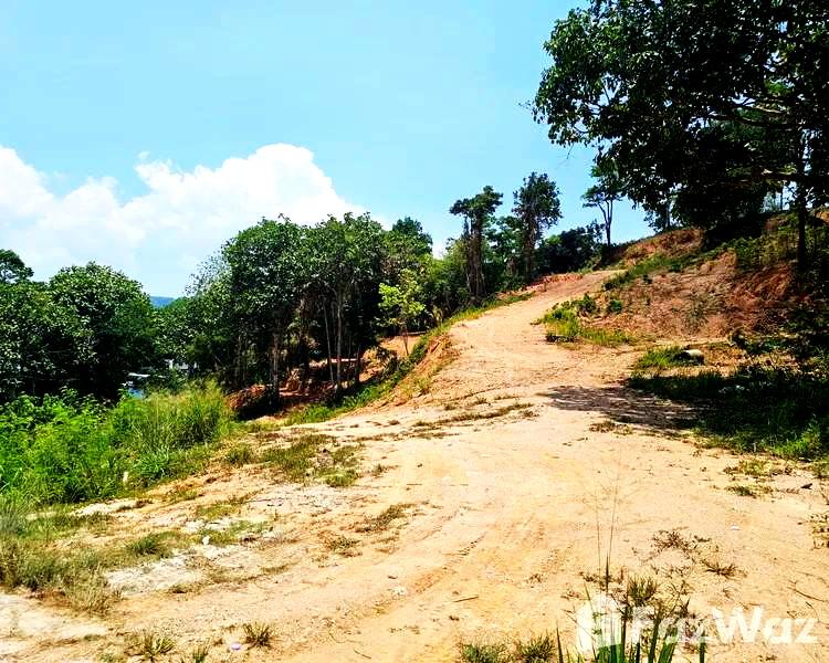ขายที่ดินทำเลทอง 21.5 ไร่ ในภูเก็ต กะทู้ ป่าตอง Prime Land for Sale 22 Rai in Phuket Kathu District,Patong ที่ดินติดหมู่บ้าน ม. The Palm Kathu-Patong 6