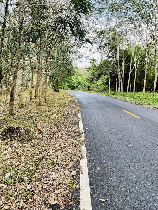 ที่ดิน13 ไร่ หน้าติดถนน 200 เมตร 2