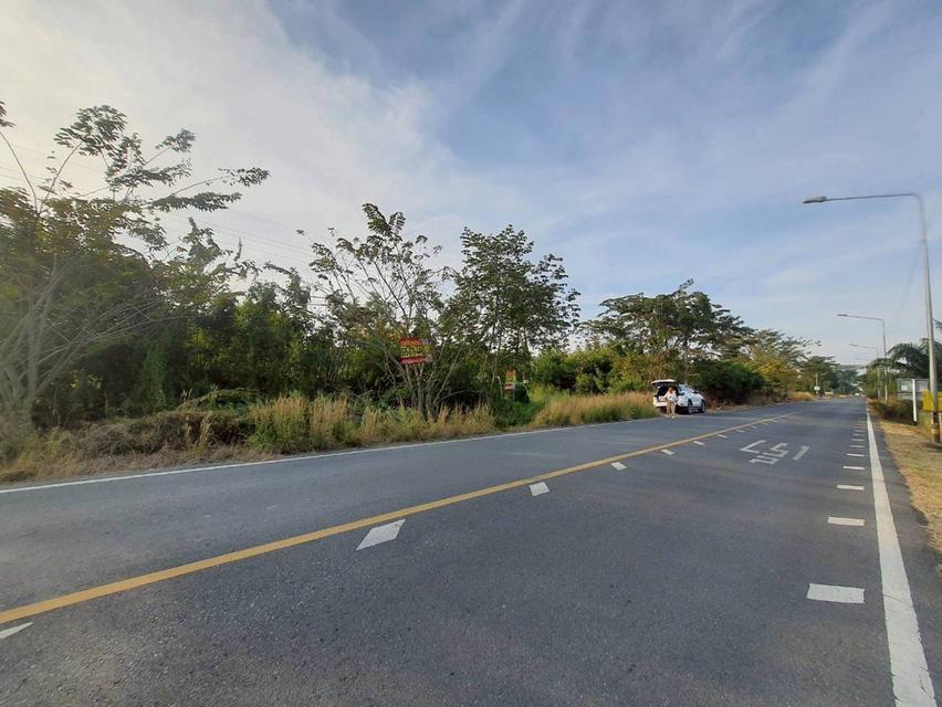 Vายถูกที่สุด ที่ดินติดถนนเลียบคลองสิบสี่  2 ไร่ ทำเลดี มีอนาคต นักลงทุนไม่ควรพลาด อ.หนองเสือ จ.ปทุมธานี 9