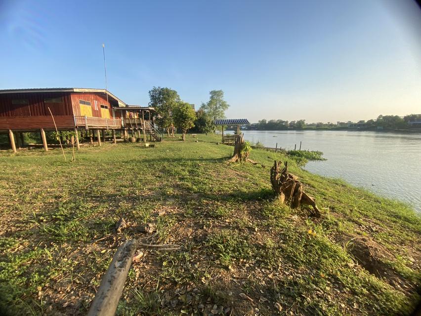 ที่ดินผืนงามริมแม่น้ำเจ้าพระยา – อัญมณีแห่งบางปะอิน 7