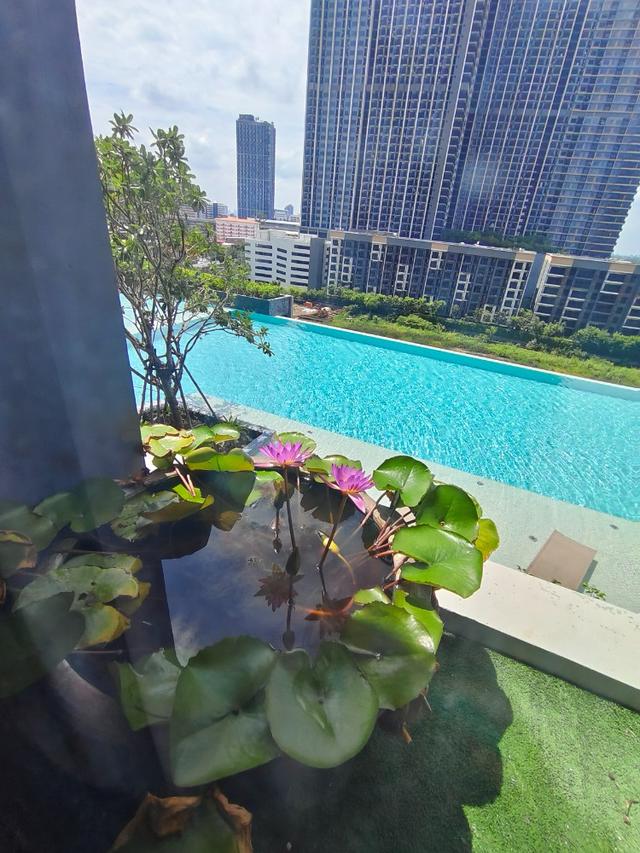 ขาย The Politan Aqua ห้องเปล่า 7