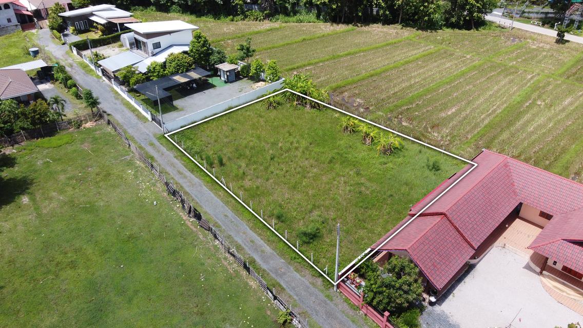 ขายที่ดิน 211 ตร.ว. ถมแล้ว วิวดอยสวย ติดถนนคอนกรีต พร้อมน้ำ-ไฟ-เน็ต 3