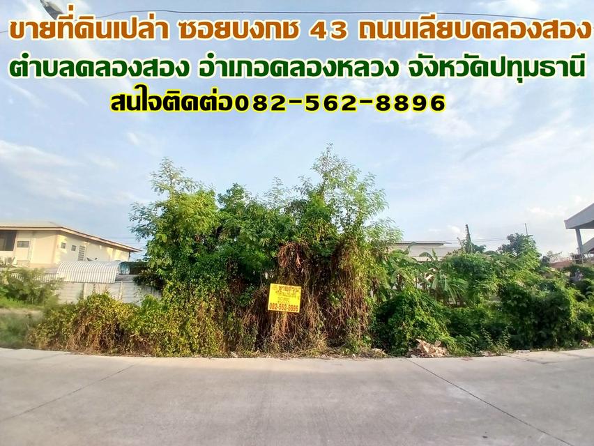 ขายที่ดินเปล่า ซอยบงกช43 ถนนเลียบคลองสอง 1