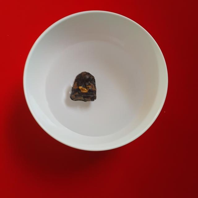 พระบ้านเก็บเก่า พระปิดหลวงพ่อแก้วเก่าเนื้อกระลาลอยน้ำได้ 10