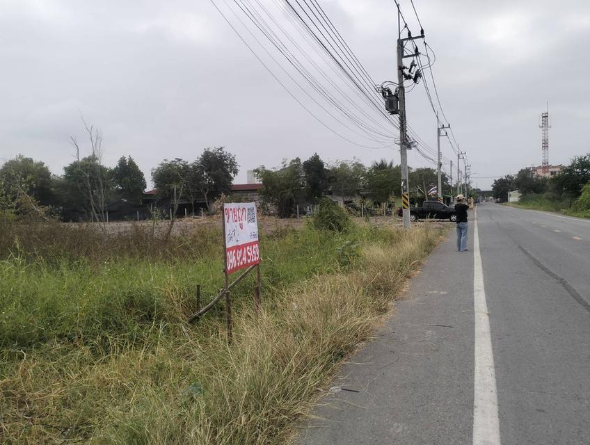 ขายที่ดิน1ไร่ถนนเชียงรากน้อย อ.บางปะอิน จ.พระนครศรีอยุธยา 1