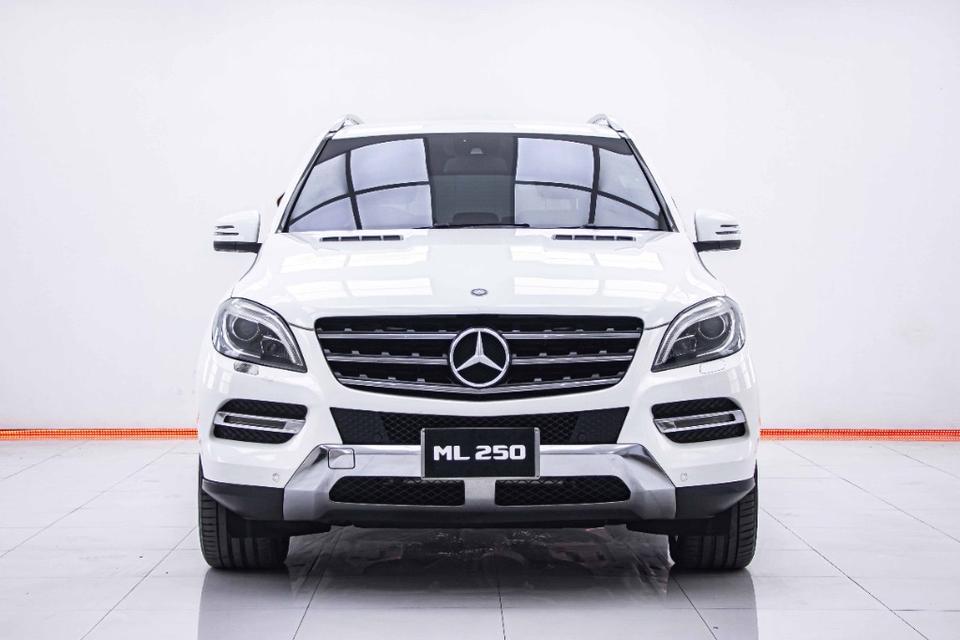 MERCEDES-BENZ ML-CLASS ML250 W166 2014