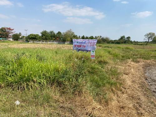 ที่ดิน 1-3-59.0 ไร่ ต.ขามทะเลสอ อ.ขามทะเลสอ จ.นครราชสีมา 5