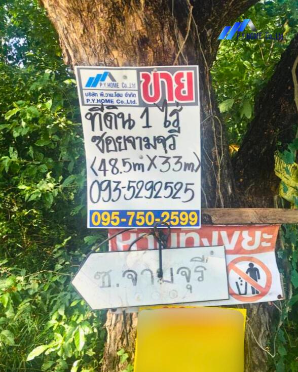 ขายถูก! ที่ดิน 1 ไร่ ใกล้เลียบมอเตอร์เวย์ คลองสี่ คลองหลวง ปทุมธานี 9