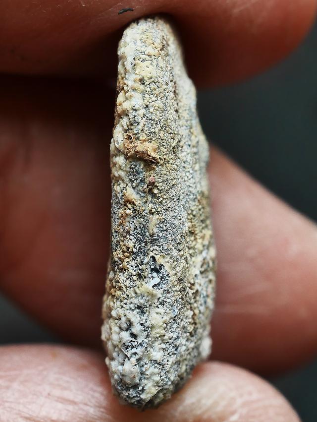 พระปิลันท์ ครอบแก้วเล็ก วัดระฆัง...เก่า เดิมๆ 9