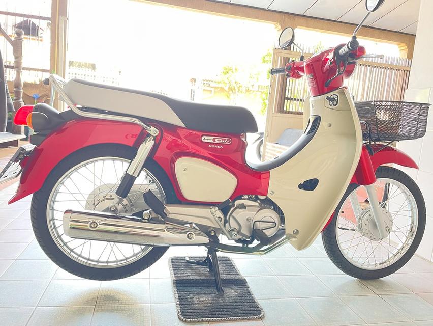 Super Cub โฉม2023 สภาพซื้อจอด รถมือเดียว เอกสารครบ ไม่ล้ม ไม่ชน เครื่องเดิม ชุดสีไร้รอย จัดส่งได้ทั่วไทย วิ่ง2000 ปี66 6