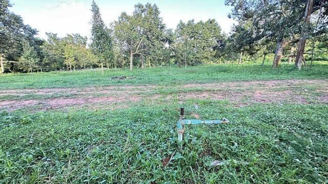 ที่ดินบ้านพร้อมโอนเจ้าของขายเอง ขายที่ดินใกล้หาดบางเบิด ติดถนนทางหลวง ใกล้หาด1 กม. +ขนาดที่ดิน 50-1-18 ไร่ โฉนดครุฑแดง พ 3