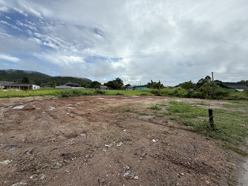 ที่ดิน 2