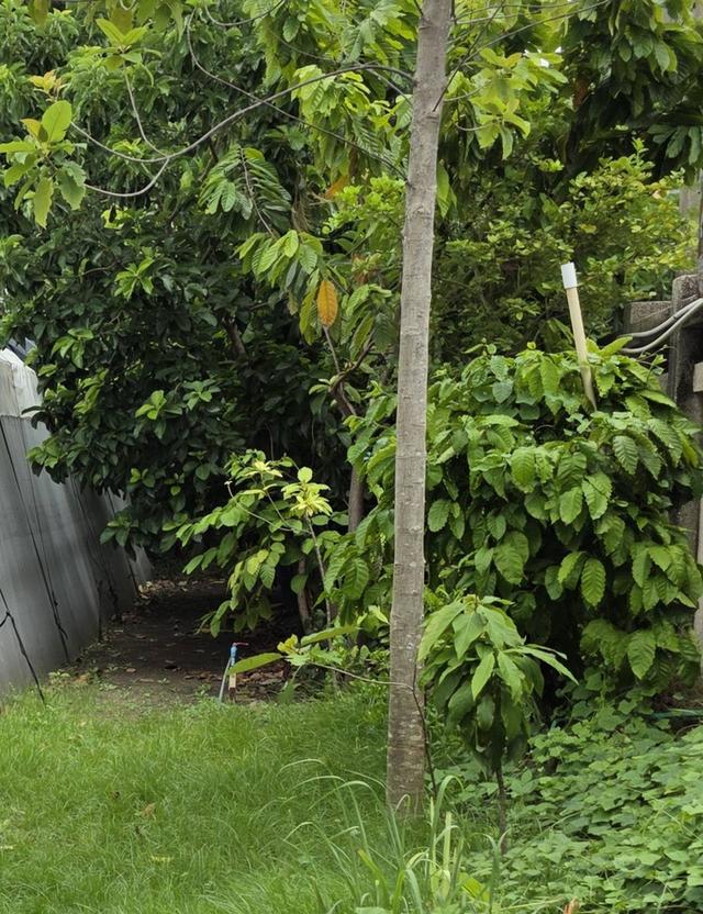 ขายที่ดิน พร้อมสิ่งปลูกสร้าง 1 ไร่ ถนนสุขุมวิท64 ที่ดินสวยหน้ากว้าง ติดถนนสองด้าน ไฟฟ้า ประปาพร้อมใช้ ทำเลดีมากใก้ลBTSปุณณวิถี ทางด่วน 1