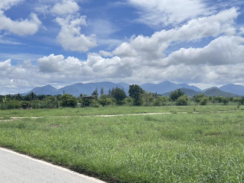 ที่ดิน ชะอำ เพชรบุรี ไร่ละ 6แสนบาท ขายยก 3-2-58 ไร่  15