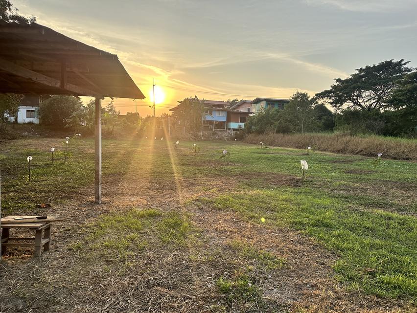 ขายที่ดิน 1 ไร่  950,000.- บาท อ.เมือง  พระนครศรีอยุธยา 2