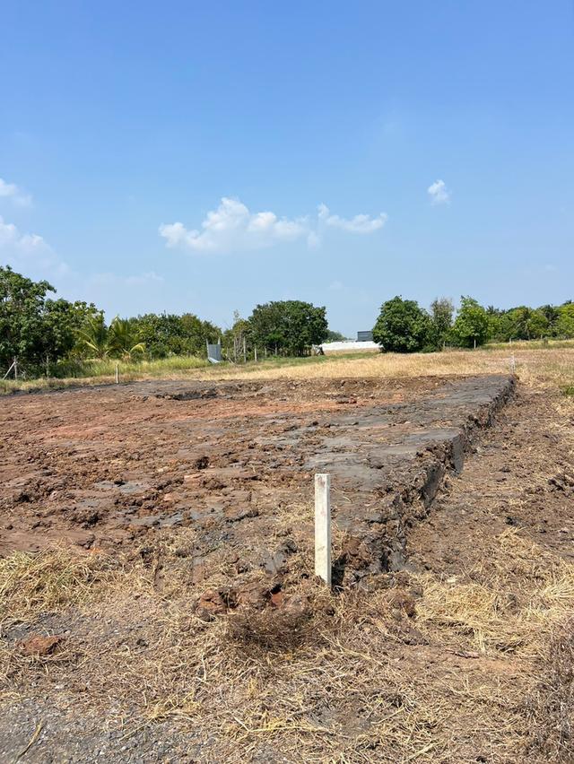 ที่ดินเงินผ่อน มีที่ดินเป็นของตัวเองได้ง่ายขึ้น — คลอง 9 หนองเสือ ปทุมธานี 12