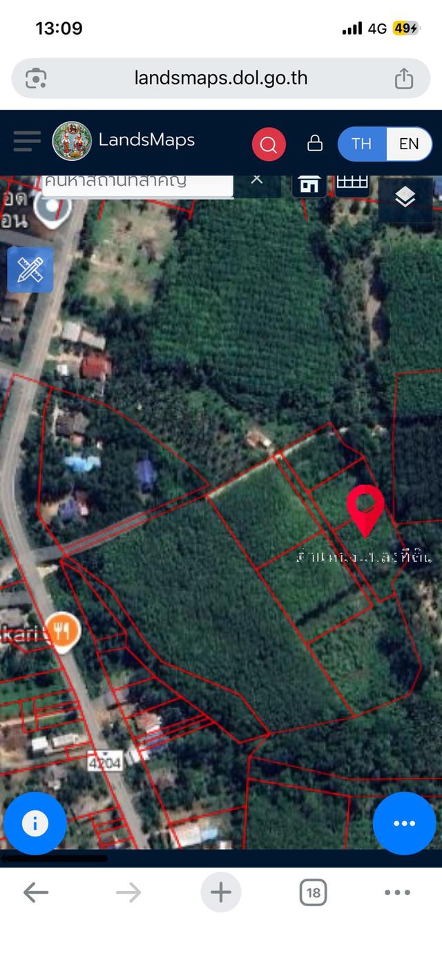 ที่ดินสวนยางพารา1ไร่1งาน5.3ตารางวา 1