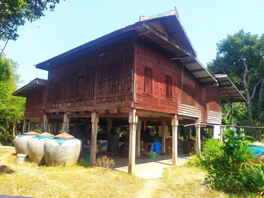 ที่ดินและบ้านเก่าอายุ60ปี 7