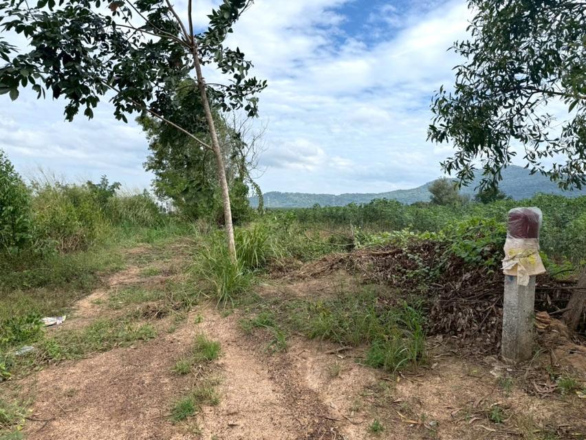 ขาย ที่ดิน ME392 EEC ม่วงลาย ติดนิคมเอเชียคลีน ห้างสูง หนองใหญ่ ชลบุรี . 18 ไร่ 3 งาน 65 ตรว ใกล้ ท่าเรือแหลมฉบัง และถนน 5