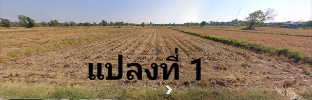 ขายที่ดินทำเลดี หน้าเทศบาล อ.พระยืน จ.ขอนแก่น