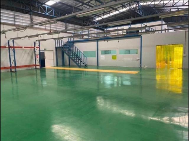 WAN6802ขายโรงงานอาหาร มินิแฟคตอรี่ ออฟฟิศ2 ชั้น บางใหญ่ นนทบุรี 1