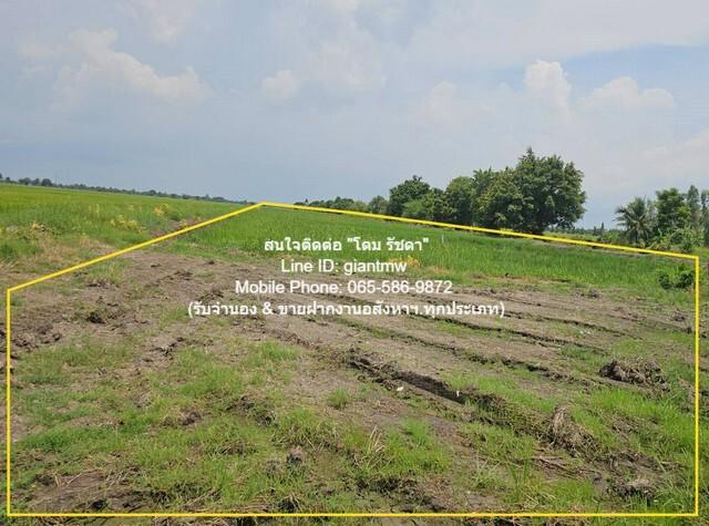ที่ดิน ขายที่ดินทุ่งนาติดถนน ต.คลองเปร็ง อ.เมืองฉะเชิงเทรา 13-0-24.9 ไร่ 6.25 ล้านบาท area 5225 ตร.ว. 6250000 B. ใกล้ สถ 4