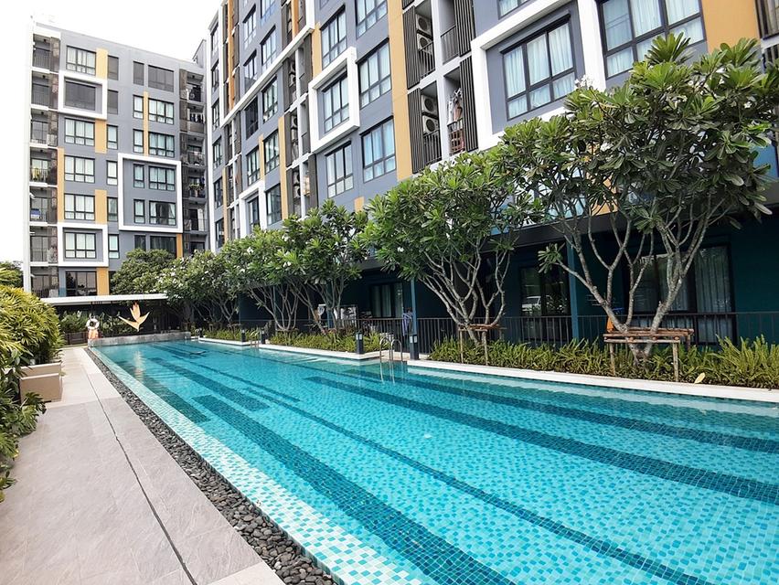 ขายคอนโด ICondo เสรีไทย GreenSpace พร้อมผู้เช่า วิวสระน้ำ บรรยากาศรีสอร์ท ใกล้นิด้า