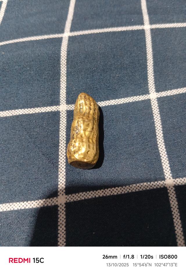 ถั่ว 2
