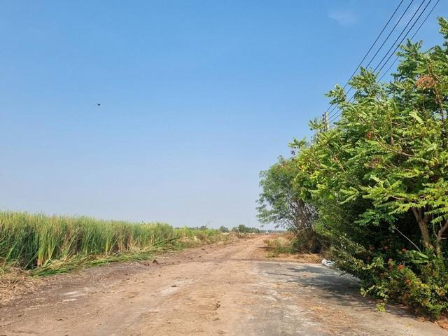 ขายที่ดิน 6 ไร่ หน้ากว้าง 105 เมตร ติดถนนสาธารณะ ผังสีม่วงจุดสีขาว เขต EEC อ.เมืองฉะเชิงเทรา 4