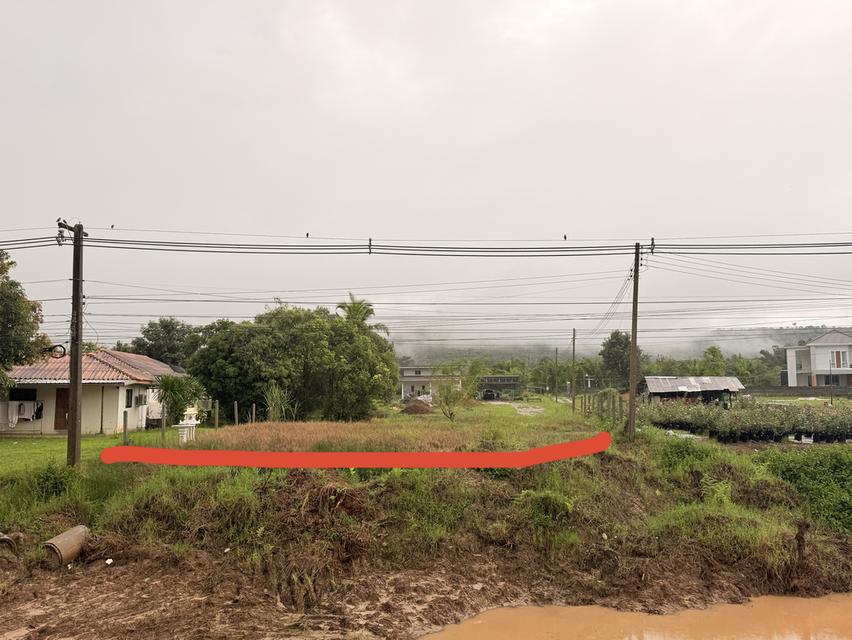 ที่ดิน อ.ภูเรือ จ.เลย 2 ไร่ 2